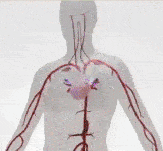 gif-2-1 gif-2-1