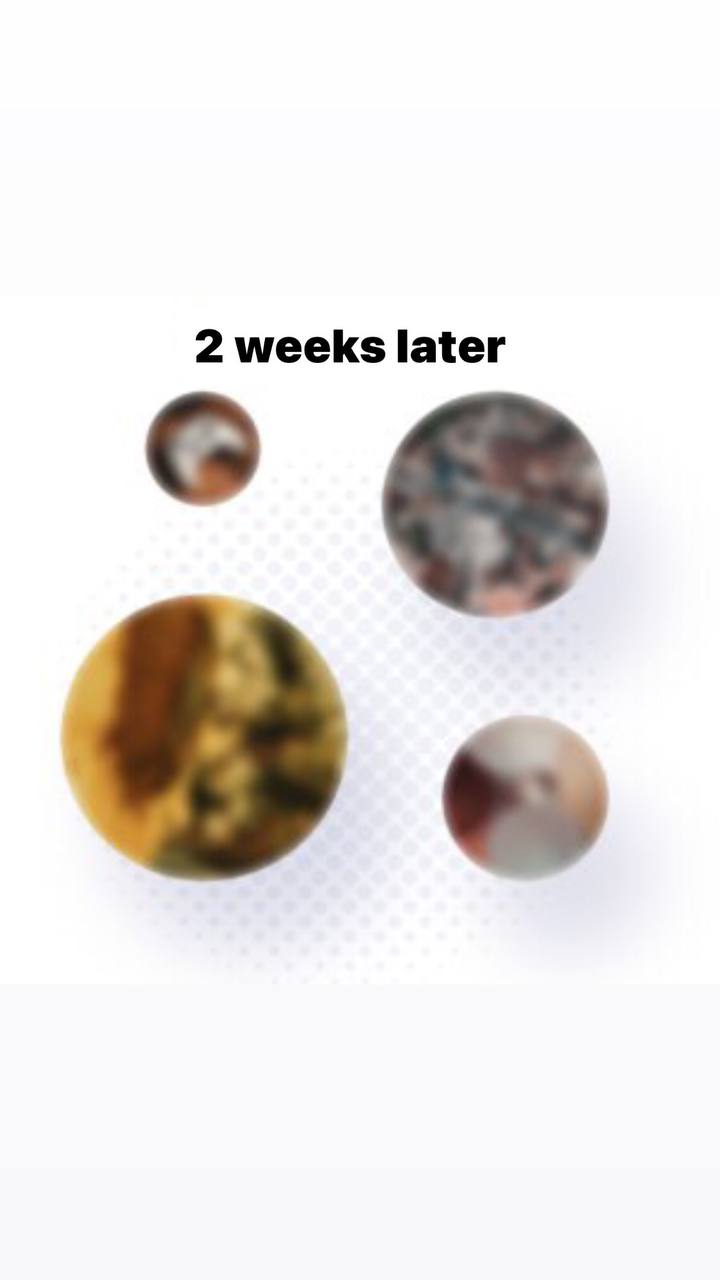 msg175027431-1991